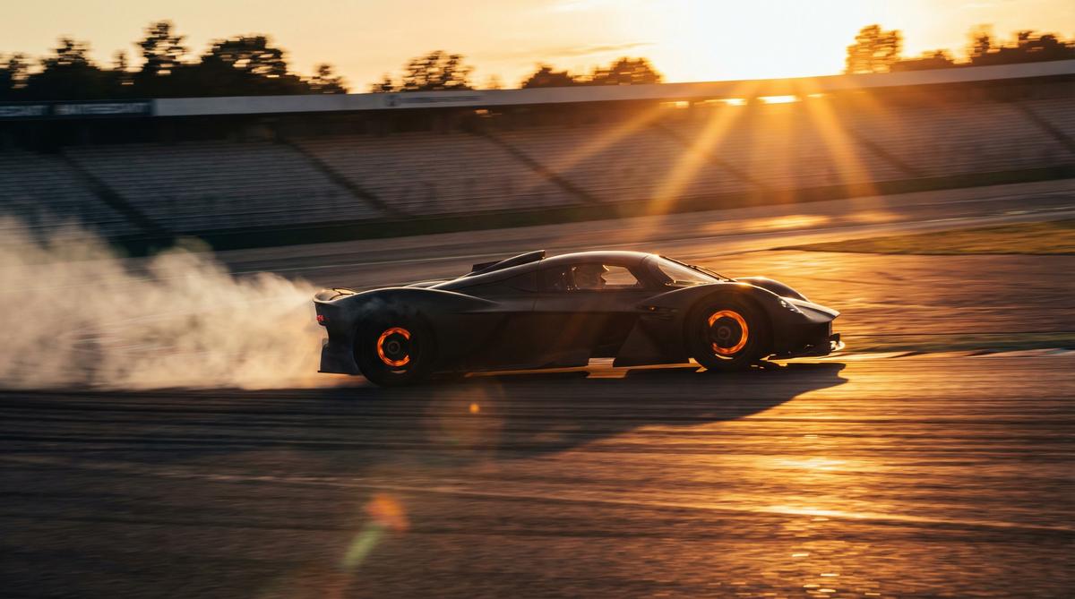 母狗官网汽车解说视频